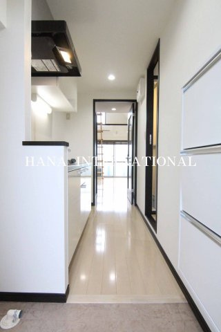 インディア・グースのその他