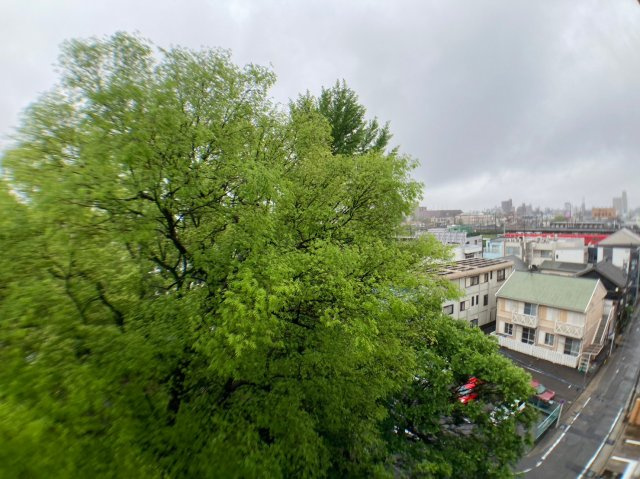 ロイヤル山王｜名古屋市の賃貸ならMy賃貸の展望|ロイヤル山王