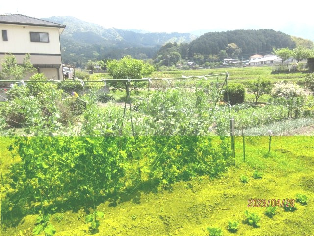 宇美町障子岳5丁目土地（古家有）の外観
