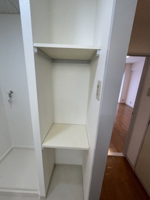 【その他】 | エクセルグリーン | 洗面所にはタオルなどを置けるスペースがあります