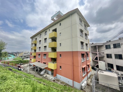 【展望】 | ライトコート