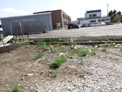 【外観】 | 黒石市花園町　土地90坪　更地