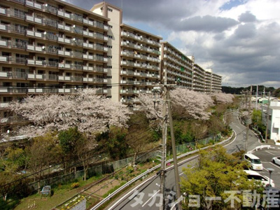 【展望】 | 高品ハイツ2号棟