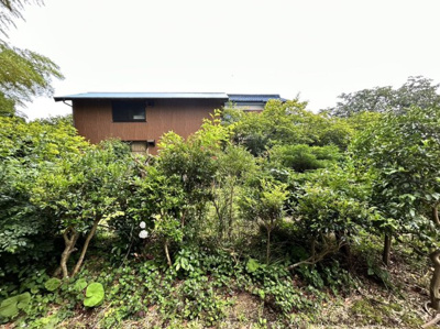 【展望】 | 林貸家