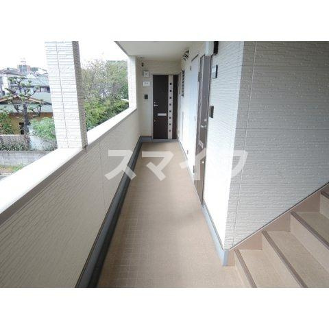 【展望】 | Forest court Sanpon
