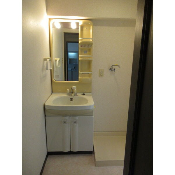 ロマネスク東町の洗面所