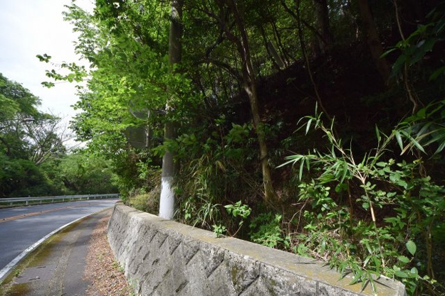 【外観】 | 伊東市玖須美元和田　売地