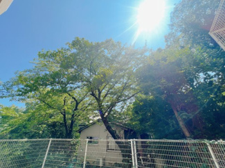 【展望】 | 毎朝気持ちの良い日差しを浴びて、気分も高まり充実した暮らし♪