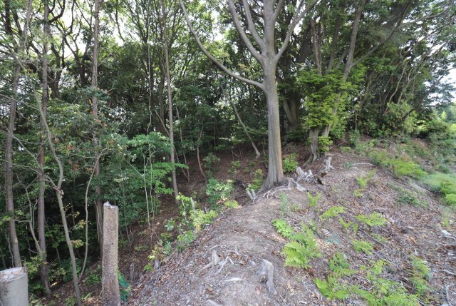 【周辺】 | 潤野282坪売地