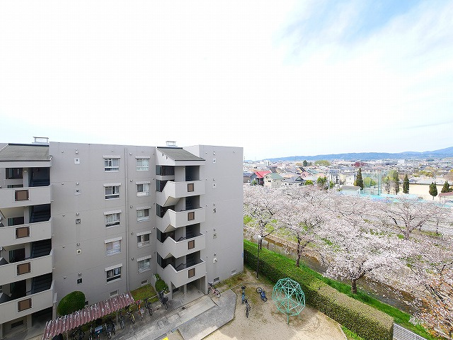 新大宮ハイタウンEの展望|桜の見える川沿いです