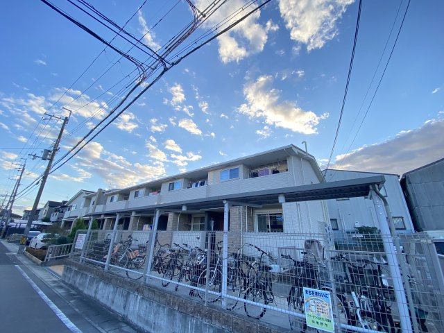 【その他】 | セイバリーブリーズ