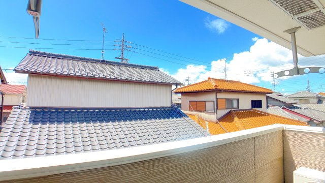 エーデルワイスの展望