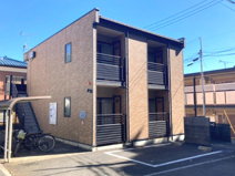 クレマチスＤの画像