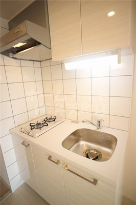 【キッチン】 | エスリード大阪ドームシティ | 使いやすいキッチンです