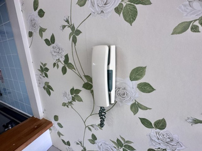 【セキュリティ】 | パナグレープ