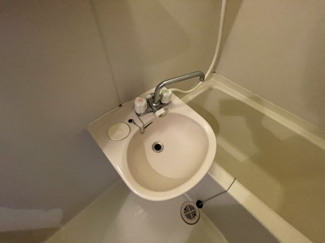 アルシュ住吉の洗面所