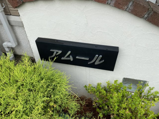 【その他】 | アムール