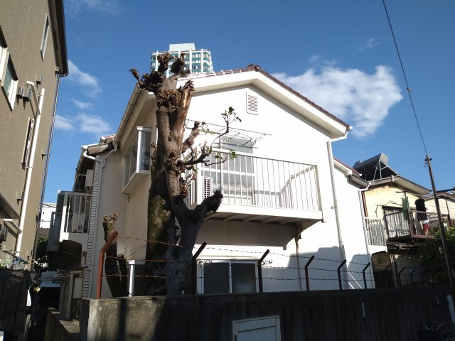 ブリティホワイトパレスⅡの外観