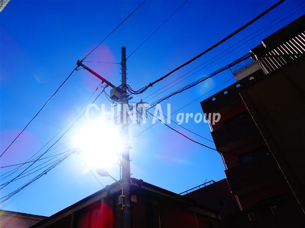 パティオフェリスの展望