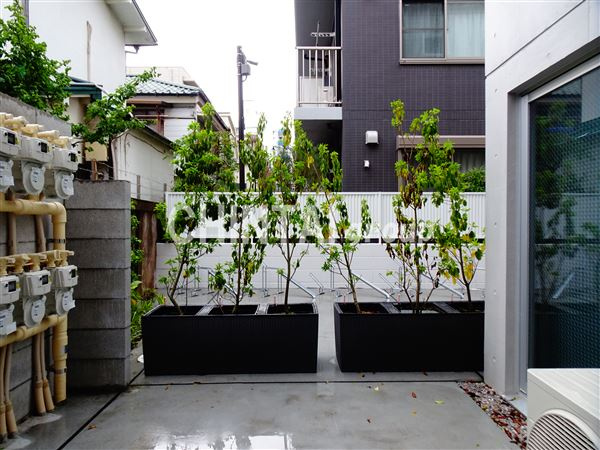 MK TERRACEの展望