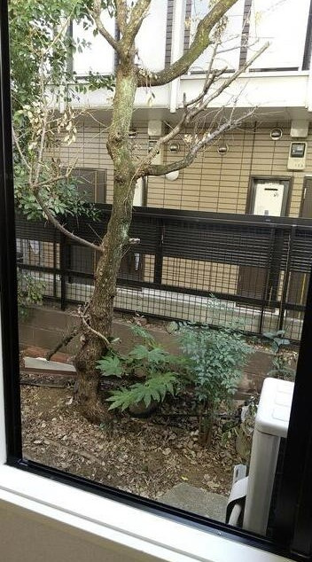 パレ・ヴェールの展望