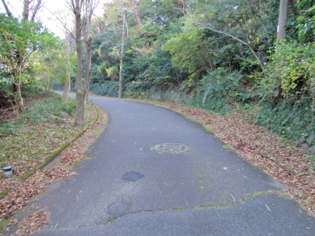 リゾートパーク伊豆あたがわ①の前面道路含む現地写真