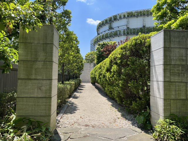の-の画像