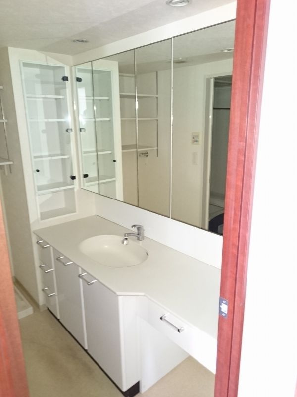 ラヴィドール田無ステーションフロントの洗面所