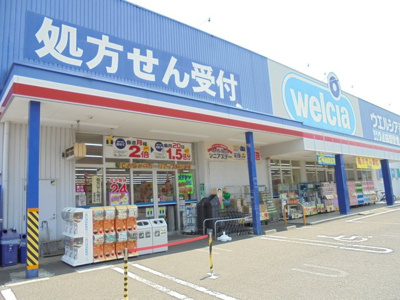 ウエルシア相模原清新店／300m