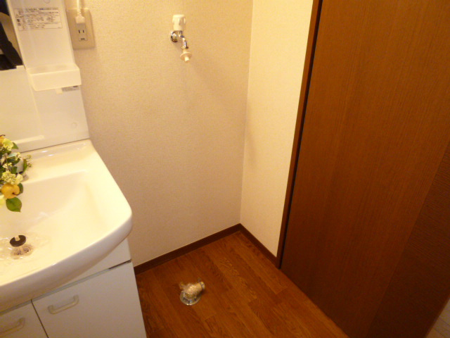 サングランデのその他|洗濯機置き場