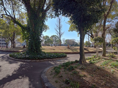 【地図】 | サンハイツ藤