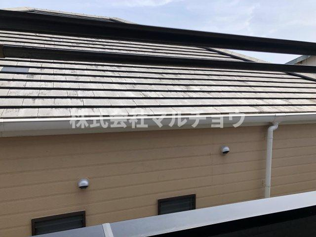 ミラノハイツの展望