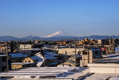 【展望】 | 上小-MSK