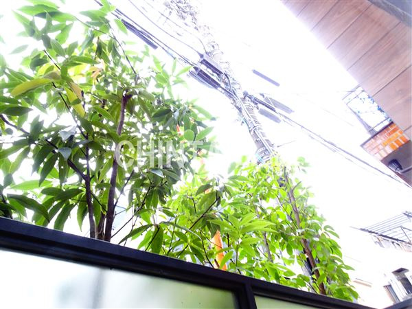 PROTO笹塚Ⅰの展望