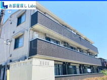 ブランシエラの画像