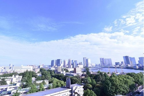 門前仲町スカイハイツの展望|豊洲方面を望む眺望