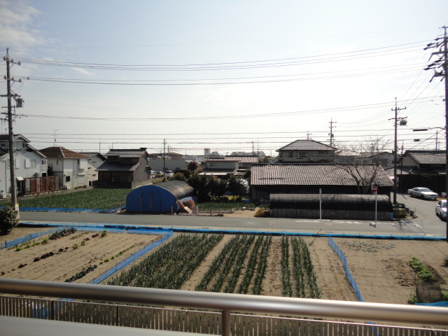 プロシードの展望