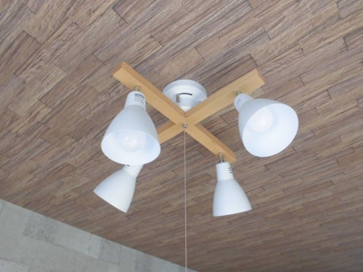 【設備】 | ガーデンHanaⅡ | LDKの照明です