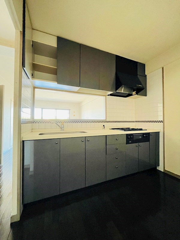 熊本市中央区島崎１丁目の賃貸マンションのキッチン