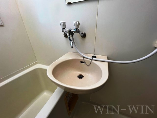 サニーコートOKADAの洗面所