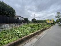 鶴ヶ島市三ツ木　建築条件なし売地　東武東上線『若葉駅』徒歩28分　の画像