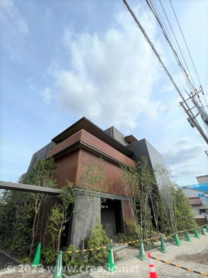 【展望】 | レオナ雅