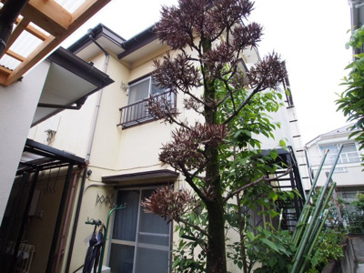 【外観】 | 吉田荘 | 外観は落ち着いています