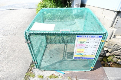 【その他共用部分】 | 山谷住宅Ⅱ