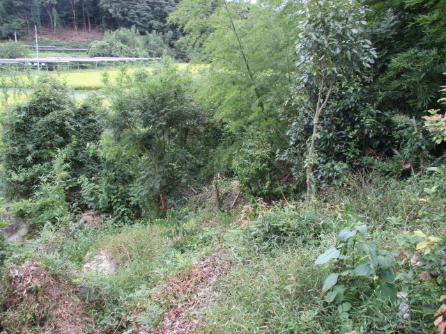 宮野上　売土地④の周辺