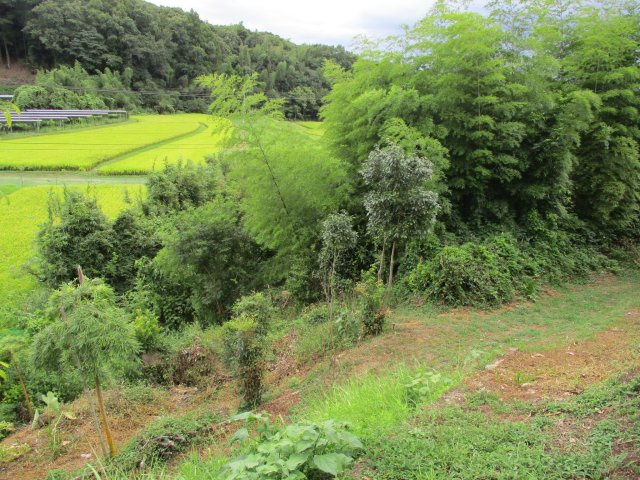 宮野上　売土地④の周辺