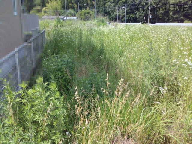 【周辺】 | 姫路市香寺町須加院／売土地