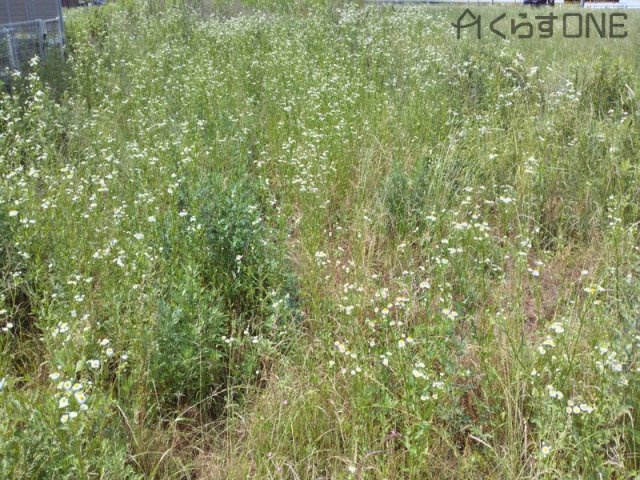 【外観】 | 姫路市香寺町須加院／売土地