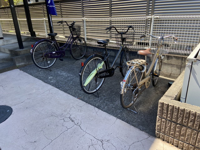 ４ＳＥＡＳＯＮＳ　ＯＮＯのその他