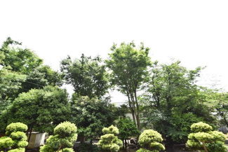【展望】 | バルコニーからの眺望